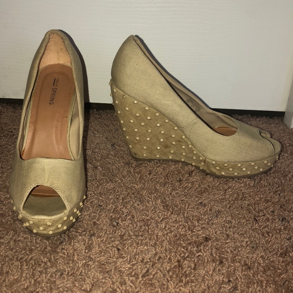 Spiked wedges